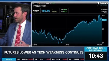 Wagner: Pullback Previewing Move Up; Likes NVDA, PGR