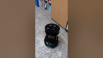 Autonomous Exploration and Obstacle Avoidance