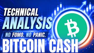 BCH Medium Term Price Outlook, Wyckoff Technical Analysis