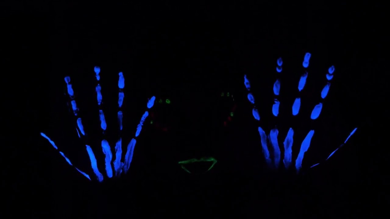 TRAUMER - GO (PORC DU HAVRE)