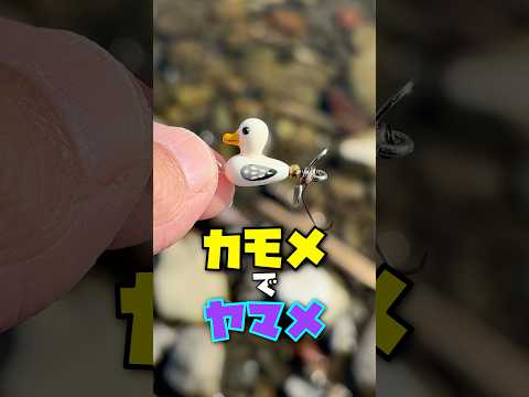 自作のかもめルアーで初めてのヤマメを釣りました。 #珍妙釣り具工房おうち #handmadelure #fishing #渓流釣りのサムネイル