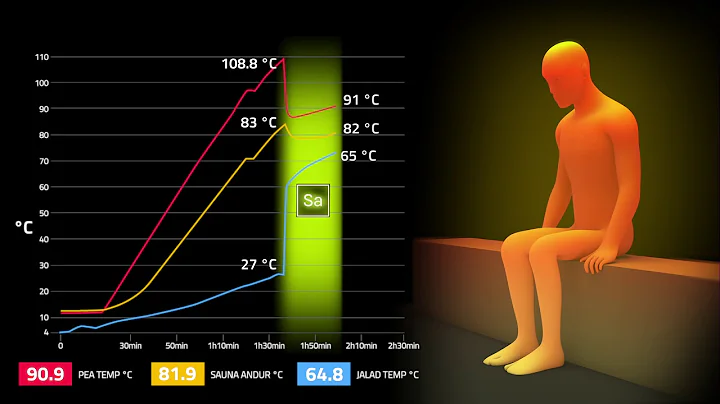 What happens in the sauna when Saunum indoor climate device is turned on? Sauna temperature is 80°C - DayDayNews