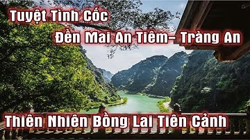 Tuyệt Tình Cốc - Tràng An - Ninh Bình - Vẻ Đẹp Thiên Nhiên Hùng Vĩ