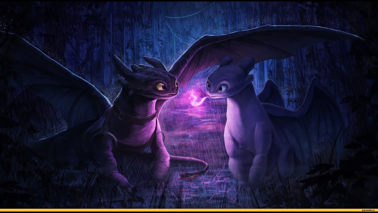 Toothless and Hiccup: Into a fantasy