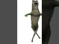 Wolf Dance| #shorts #wolf #dance #meme