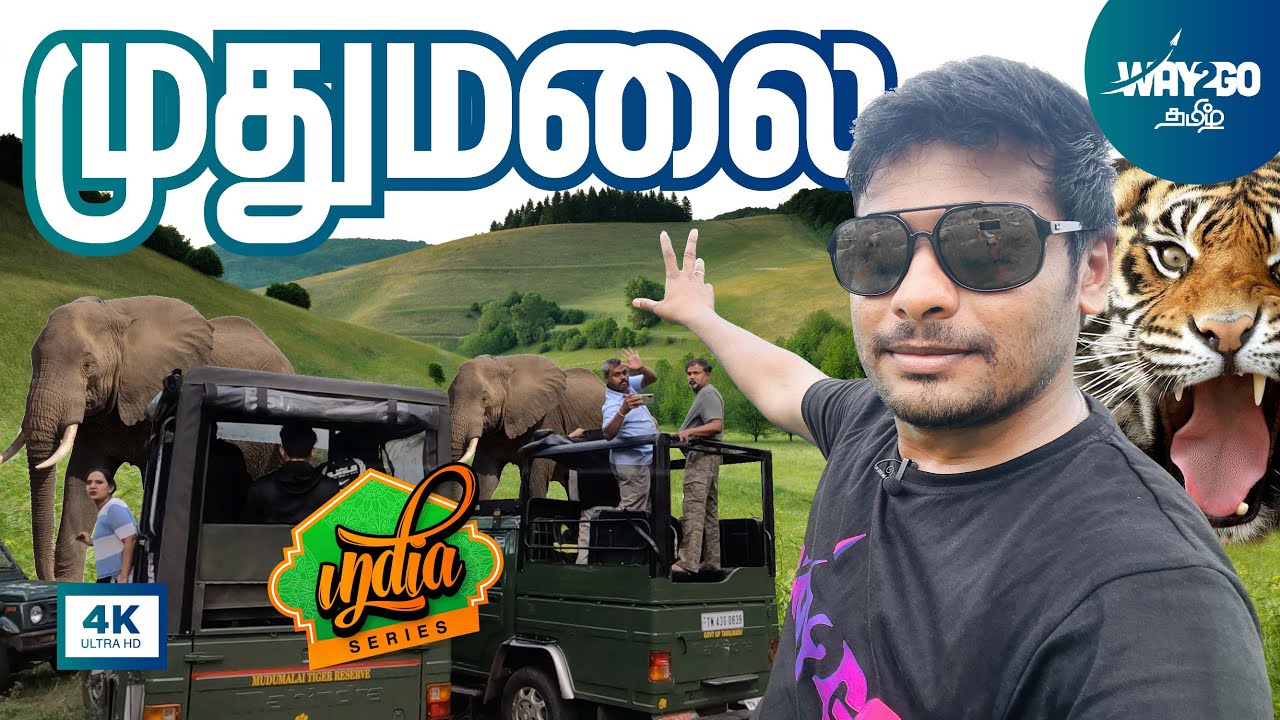முதுமலையில் புலி(யிடம்) சிக்கிய தருணம்🐅😱| Mudumalai Forest Safari | Ooty | Ep 8 |  Way2go தமிழ்
