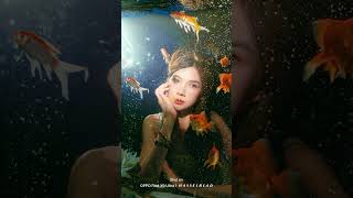 Tiny Aquarium Cinematic Setup with Nanlite FC-120B ✨🐠 #ytshorts