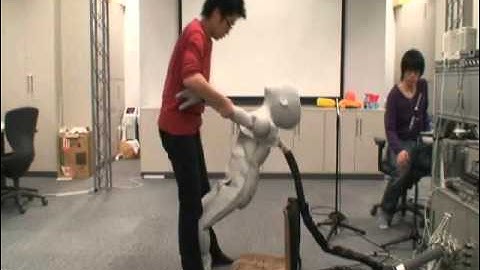 CB2 - Mutual Learning and Adaptation