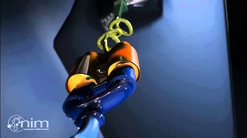 Single-Molecule Dissection of Cohesin-Dockerin