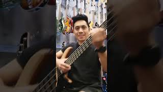 Fodera Yin Yang Standard 5