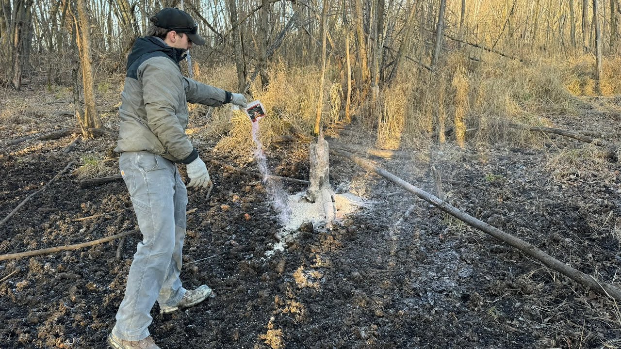 Comment faire une saline hivernal ( saline Woodbrothers)