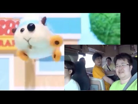 キャンピング横転モルカー