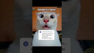 Sende Beğin Yakan Soru Uaz Şfetbeniöneçıkar Şfet