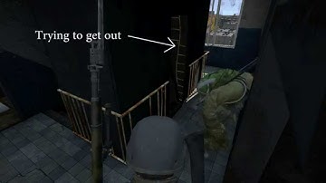 DayZ Standalone - Weird stuff