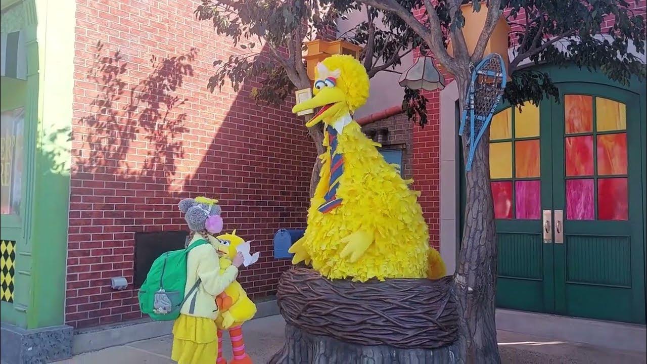 Happy Birthday Big Bird Special Happy Birthday Video to Big Bird Sesame