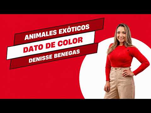 Animales exoticos