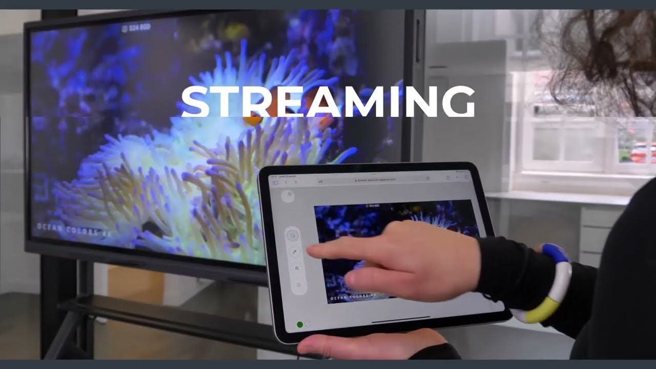 Innovation Speechi Connect : zoom sur les fonctionnalités phares