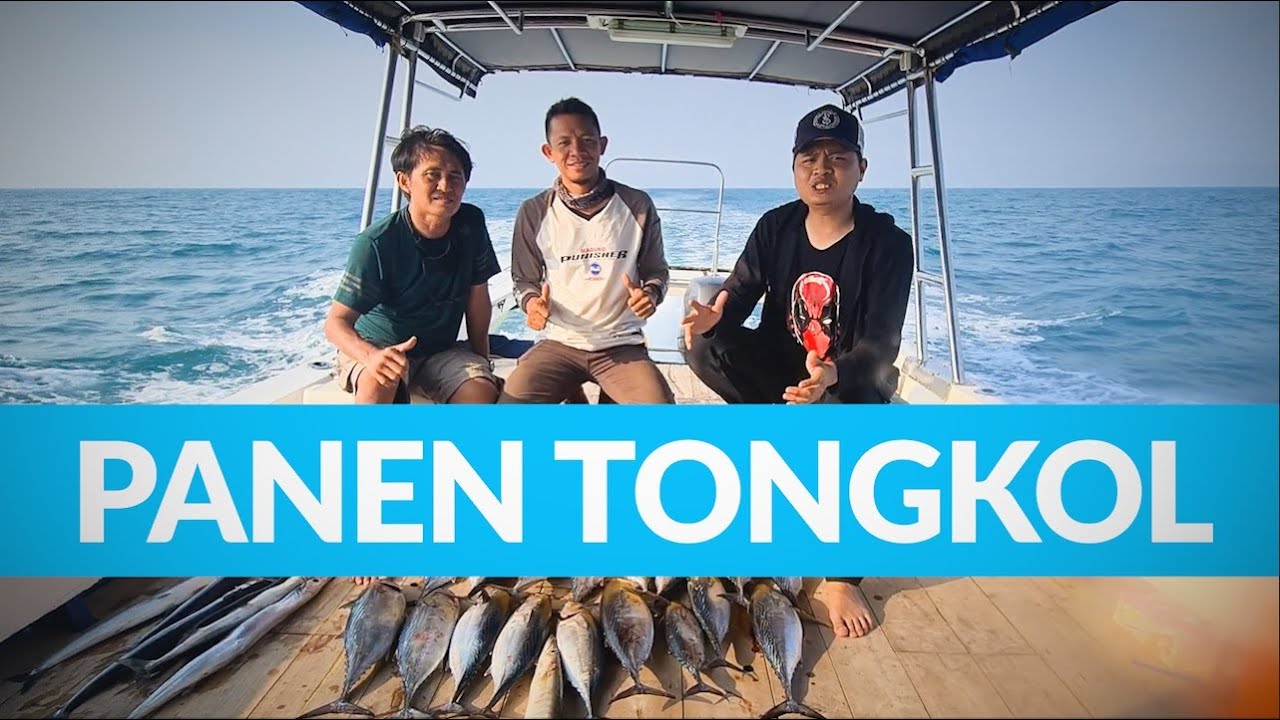 Mancing Akhir Pekan - Panen Ikan Tongkol