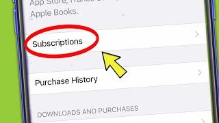 How To Check Current Subscriptions in iPhone