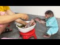 Taka becomes nanny helping mom take care of little monkey tiki