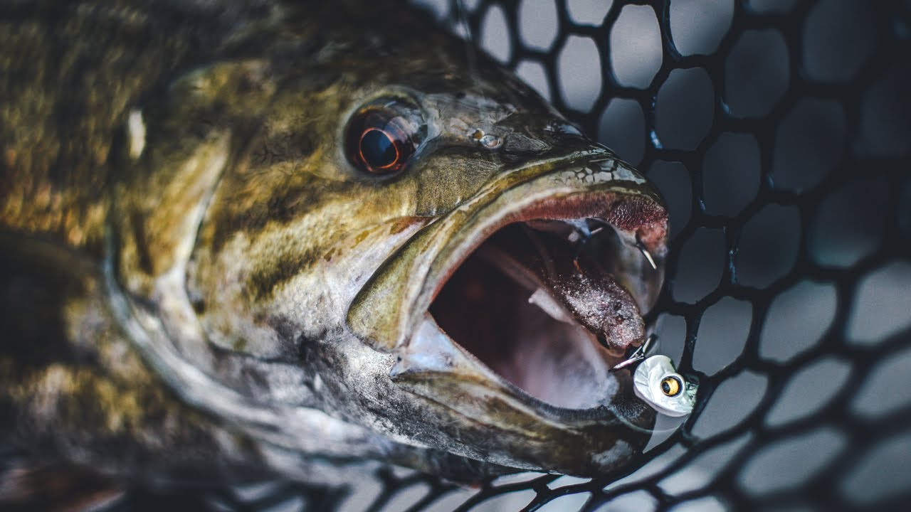 Megabass Okashira Screwhead - TackleDirect