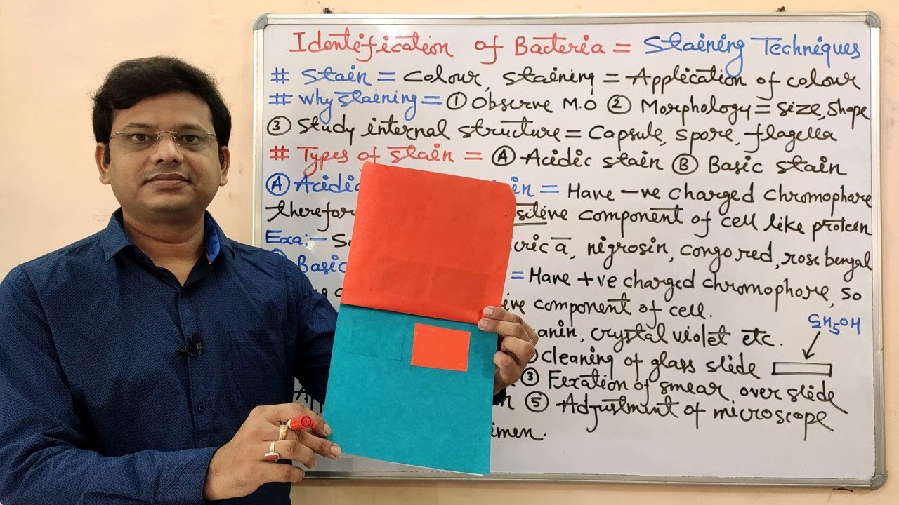 Microbiology 46 = Identification of Bacteria (Part-01) = Introduction of Microbial Staining Methods