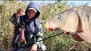 Волны Как На Море, А Сазан Прёт, Рыбалка На Карпа, Клёв Рыбы, Снасти Для Ловли Крупной Рыбы