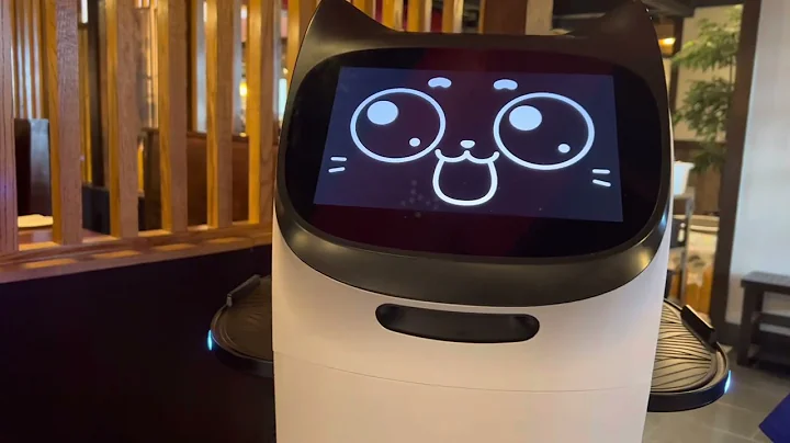 Veronica the sushi robot