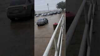 Enpesando anevar en Dallas texas