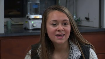 Sustained Inquiry: Alka-Seltzer Lab - An Introduction to Kinetics