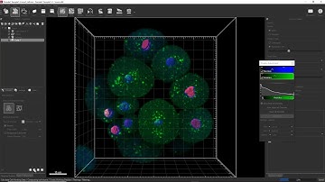 Lesson 11 - Imaris Cell I - Multicomponent Detection for Various Applications