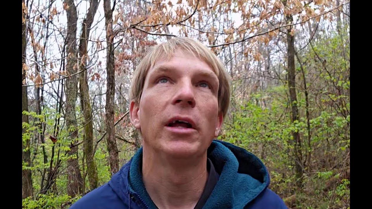 mark-3-kjv-youtube