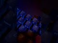 Big Red Giant Bowl Rolling Through Taipei Pub While Mono ASMR Audio Captures One Keyboard Addict Des