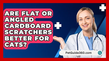 Are Flat Or Angled Cardboard Scratchers Better For Cats? - PetGuide360.com