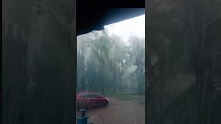 In rain time in dandelion#dandeli #sukun