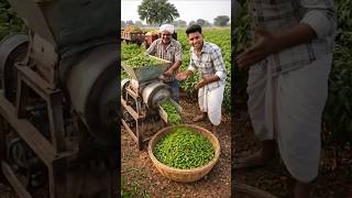 🌶️ Mirchi Processing Machine Ka Kamaal! Kisan Ki Smart Technology 😱🔥#ytshorts #shorts #desijugaad