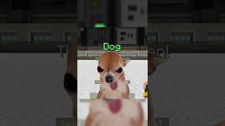 Dog (part 12) #minecraftmemes #buildbattle #memes
