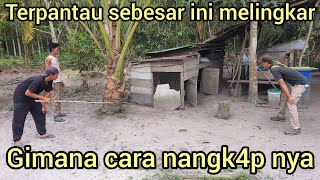 Download Lagu HAT1-HAT1 YANG PUNYA KANDANG TERNAK,WARGA INI SAMPAI MINTA TOLONG UNTUK DI TANGK4P KAN MP3 Download Lagu HAT1-HAT1 YANG PUNYA KANDANG TERNAK,WARGA INI SAMPAI MINTA TOLONG UNTUK DI TANGK4P KAN MP3