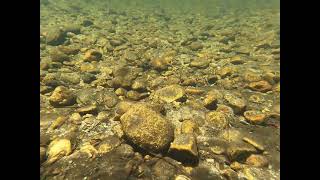 Yosemite Float