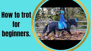 How to trot on a horse for beginners | rising trot