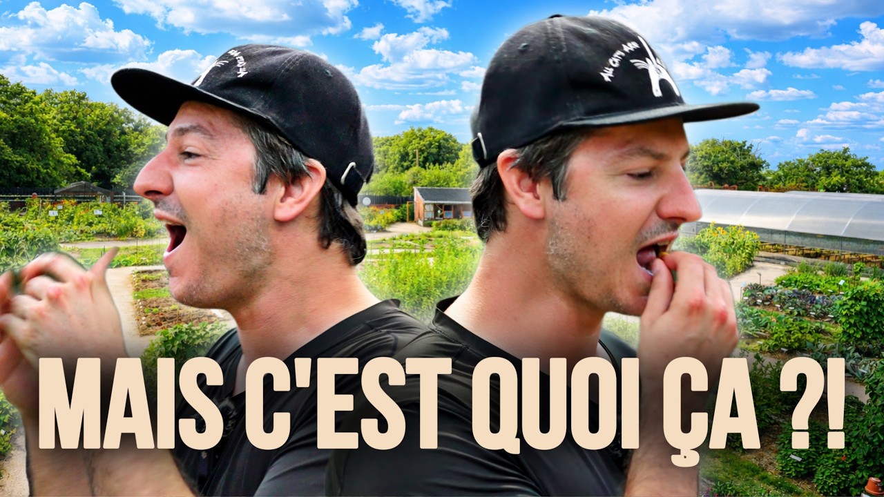 Le potager le plus fou que j’aie jamais visité