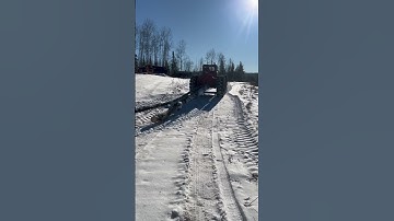 Old 230 Timberjack skidder logging #trendingshorts #shorts #timber jacks#skidder #viralvideo