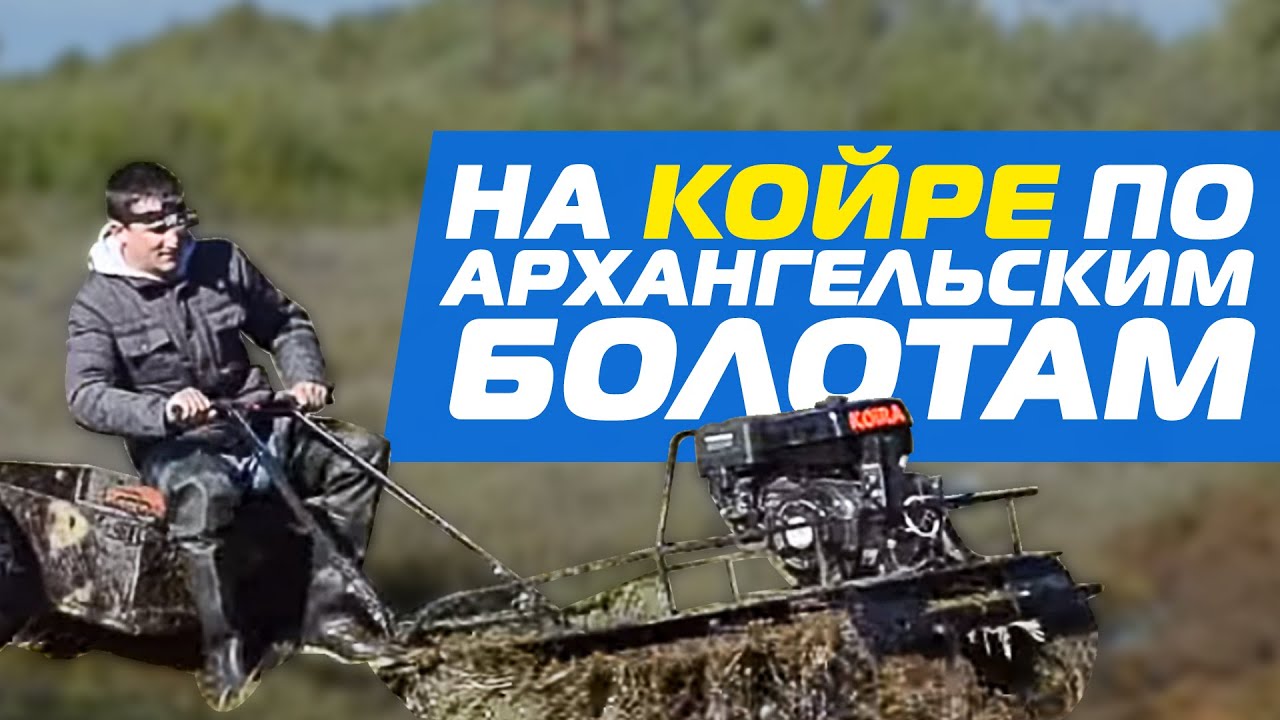 Камазы по болоту