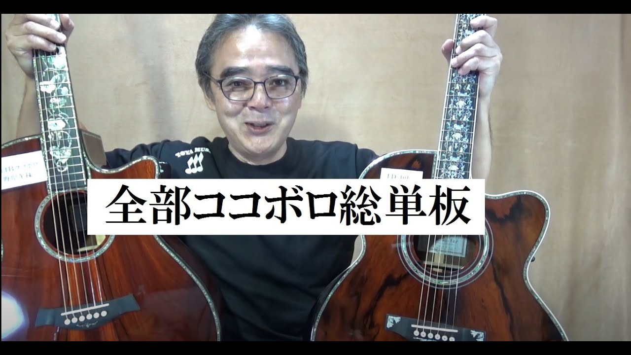 175】全ココボロ単板 TD-101ジャンボ T14Bココボロ