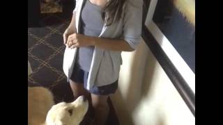 Famous Training Tip Tuesday- Touch Profile