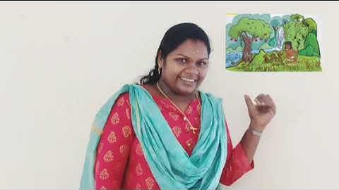 Std 3 English Unit 03 Class10 White Board CP