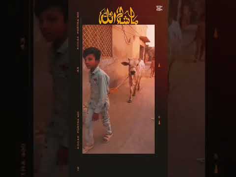 mashAllah# Allah pak kabool kara Ameen sum ameen ♥️#short #youtube short