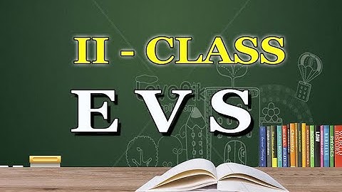 2nd Class | Evs | Lesson 9 | Let