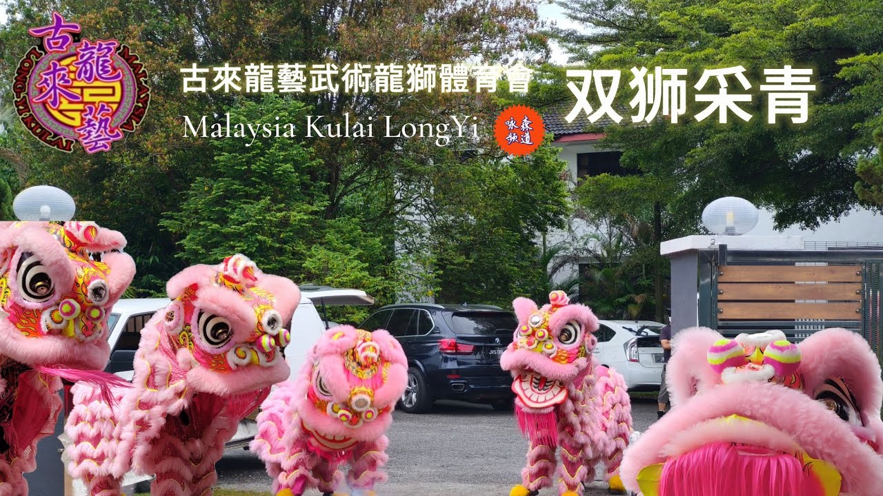 双狮采青/双粉醒狮 古来龙艺武术龙狮体育会