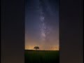 Calm Night #lofi #calm #chill #sky #timelapse